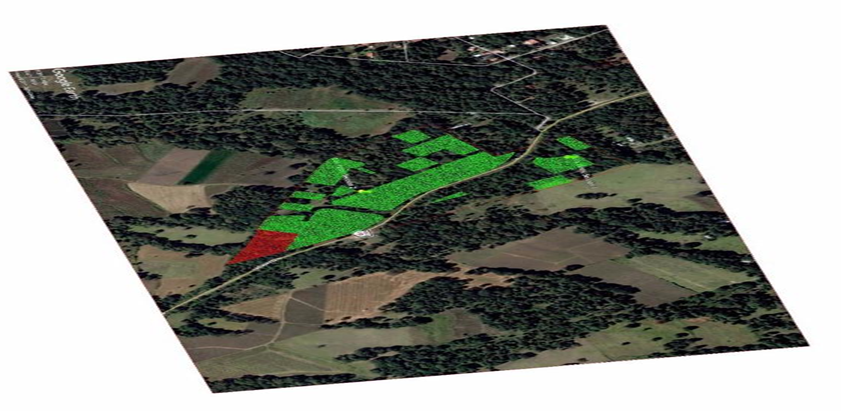 Vista Satelital