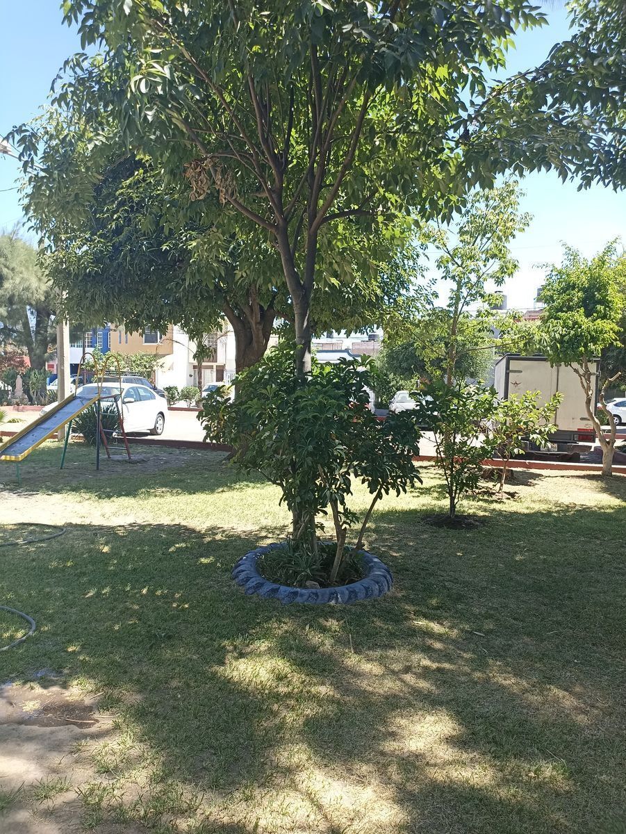 2 de 23