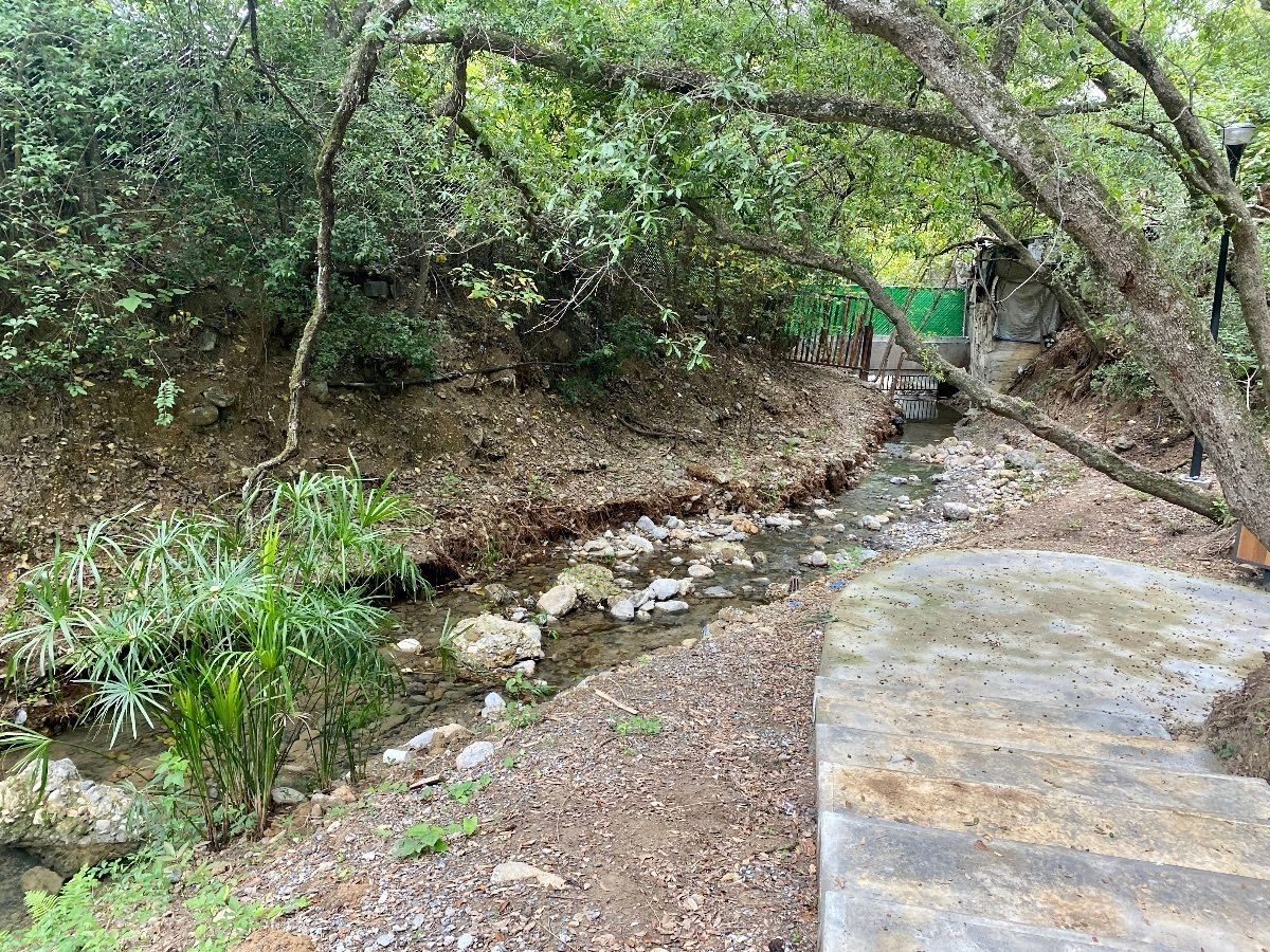 26 de 31: BOSQUE HUNDIDO