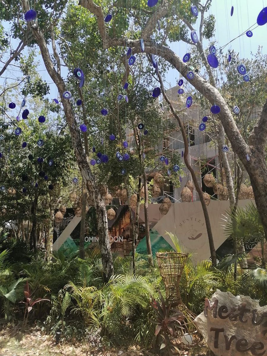 14 de 14