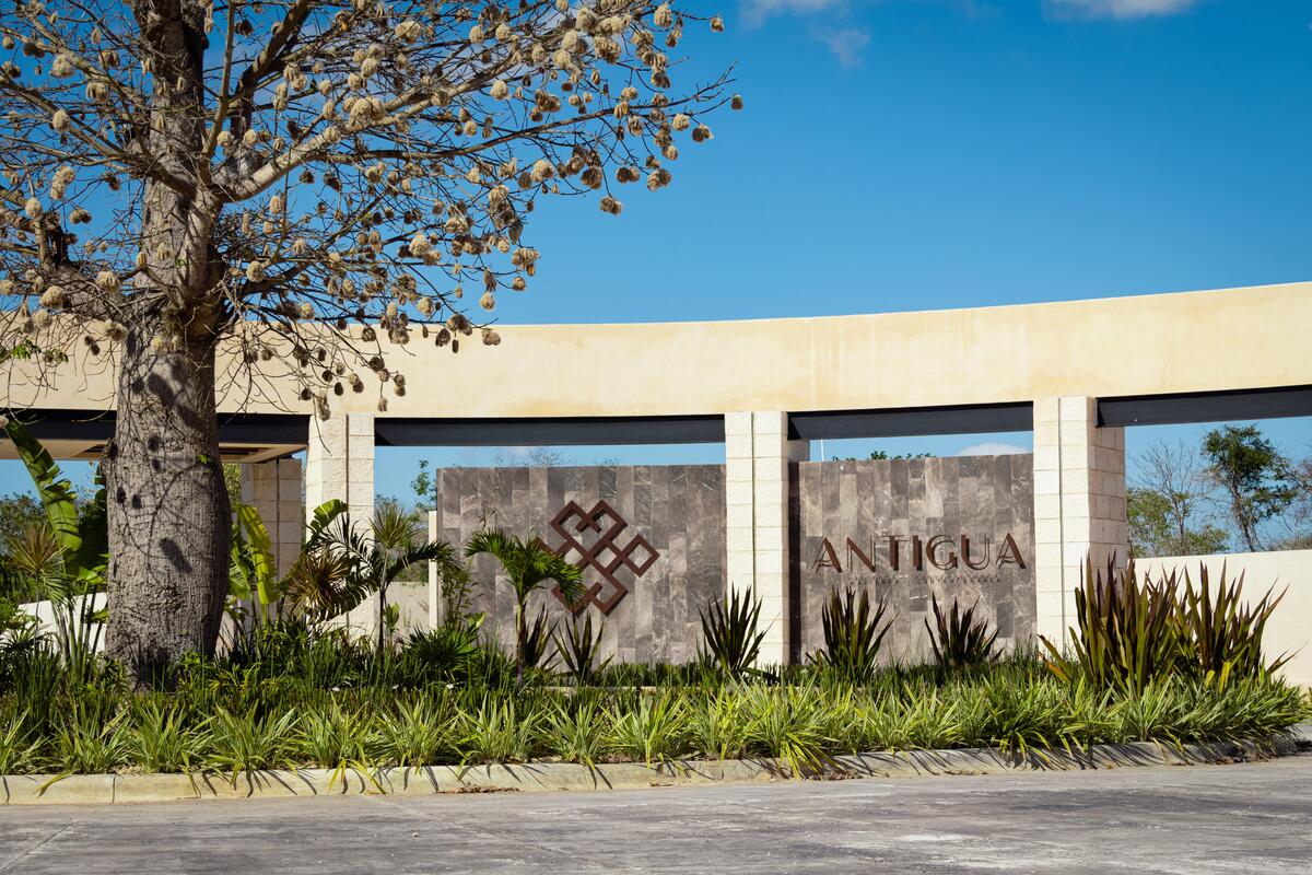 1 de 41