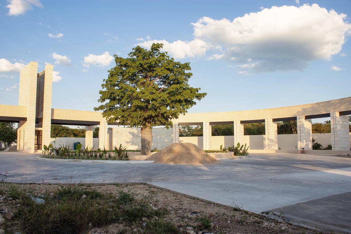 4 de 41