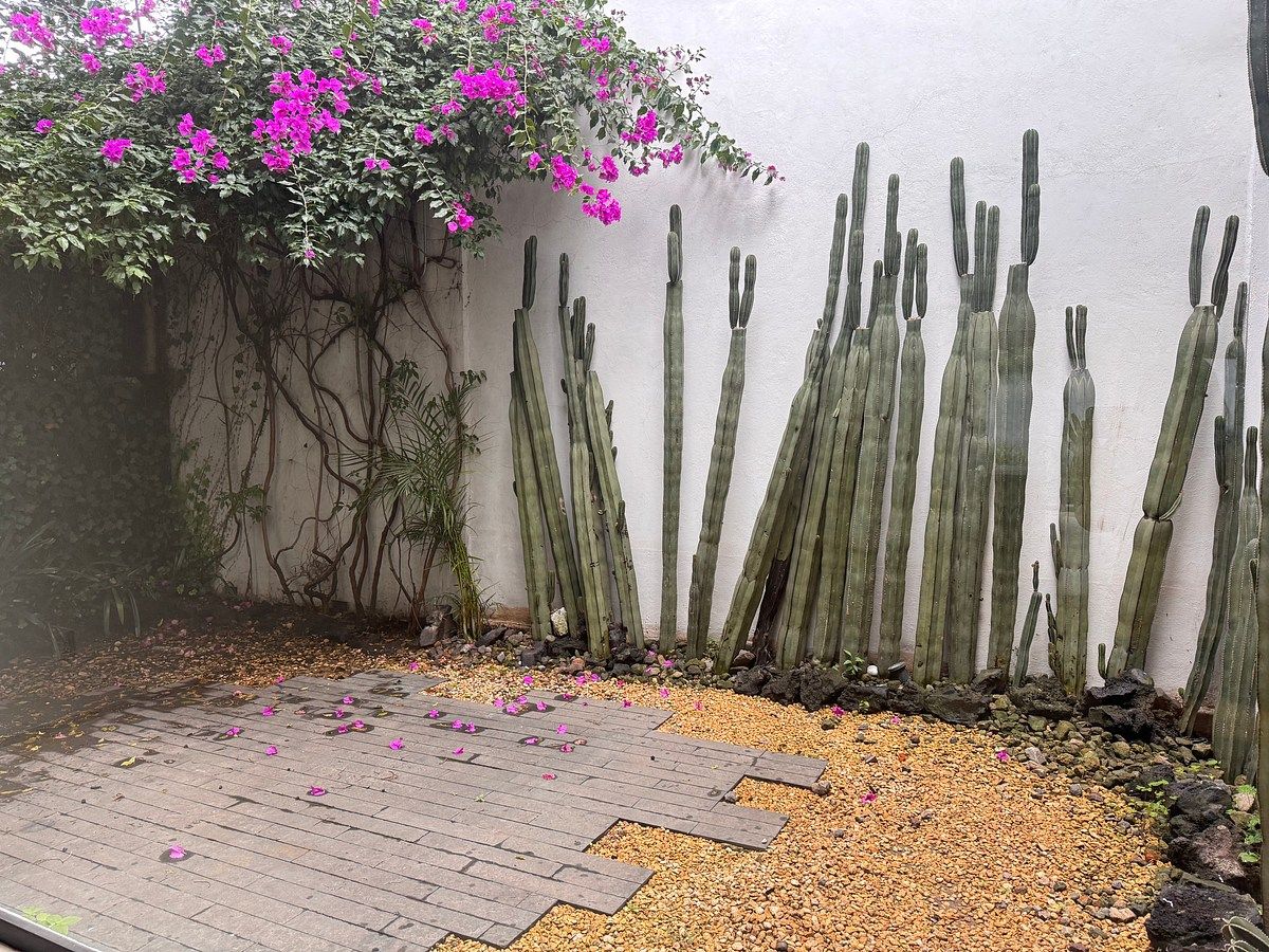 Casa em condomínio fechado em Lomas de Chapultepec I Sección, Miguel Hidalgo, foto 30 de 41
