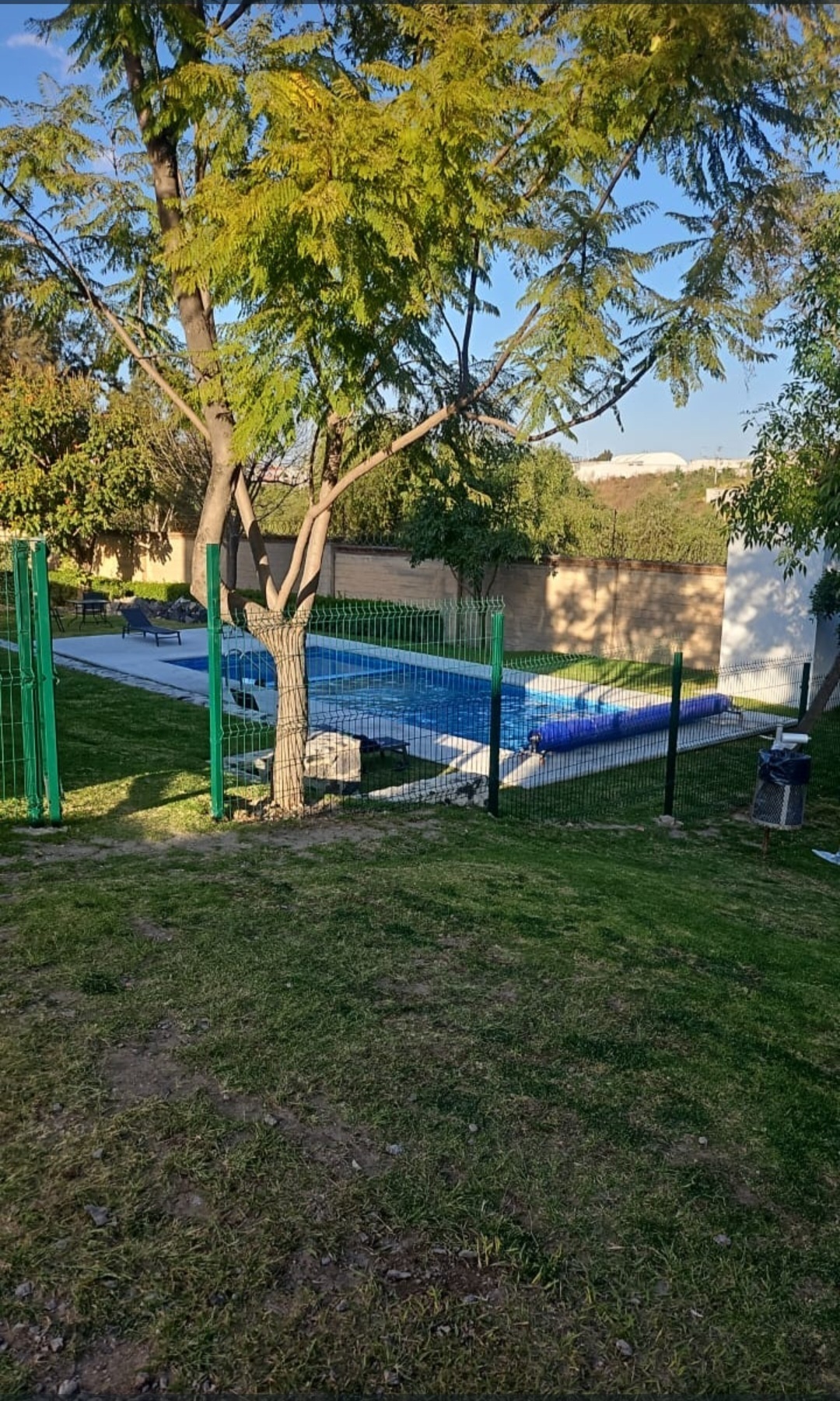 3 de 12