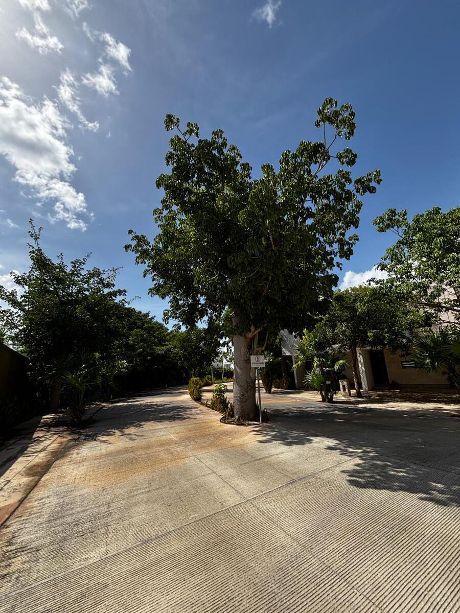 21 de 21: Vialidades