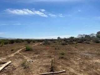 Se vende terreno para siembra de Agave en AHUALULCO DEL MERCADO   HECTAREAS.