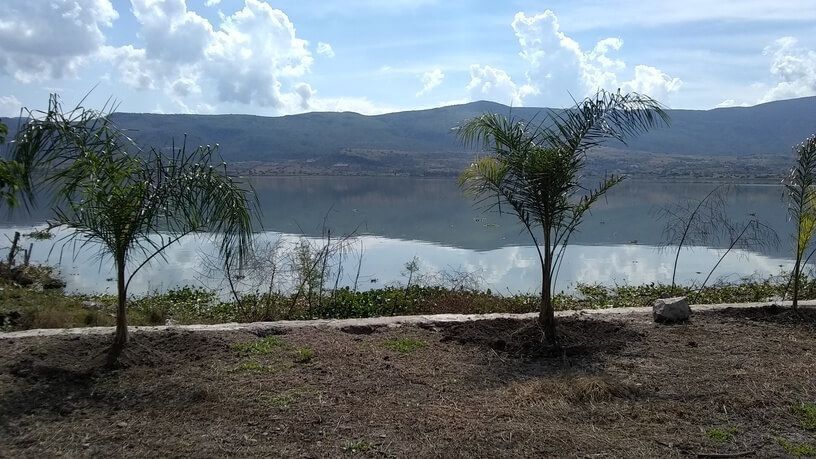 1 de 3