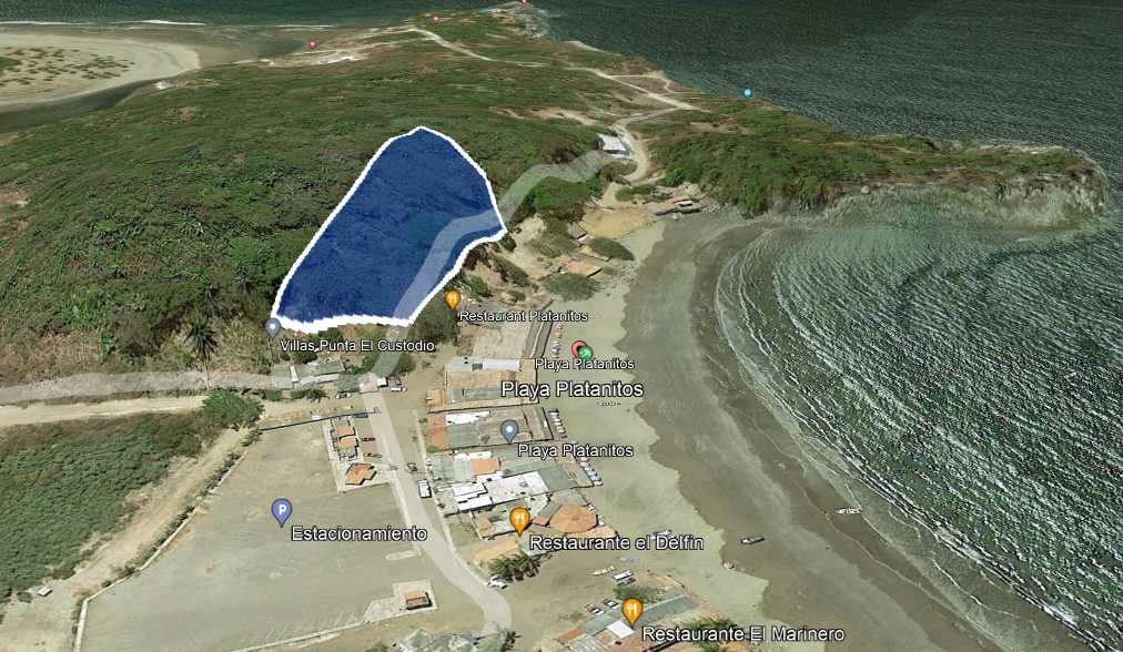 Imagen 3 de 7
