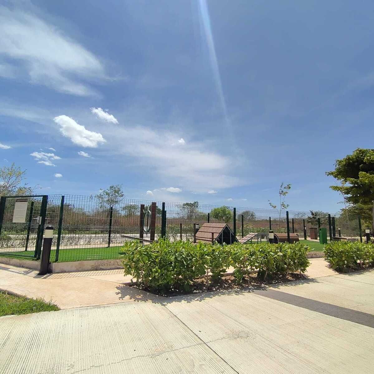 6 de 20