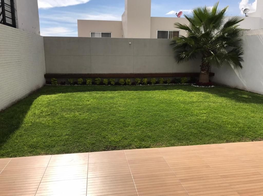 5 de 25
