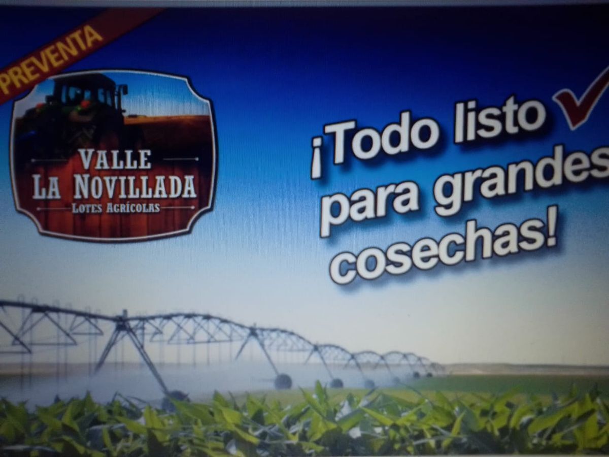 Venta Rancho Miguel Ahumada - Ahumada