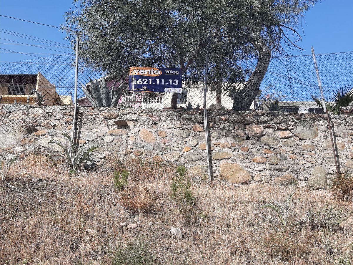 9 de 19