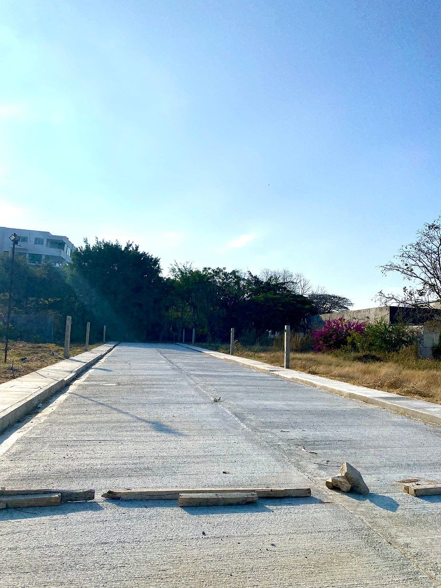 21 de 29: Calle pavimentada dentro de la privada