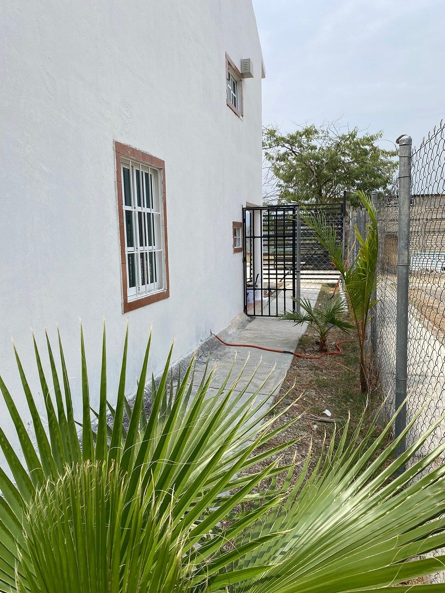 24 de 29: Paso hacia el jardin enmallado