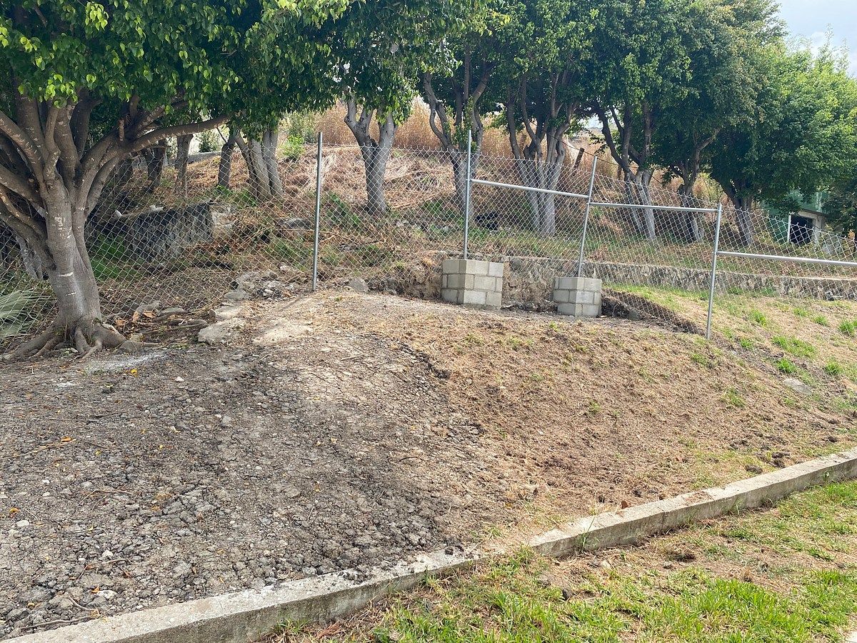 26 de 29: Jardin trasero