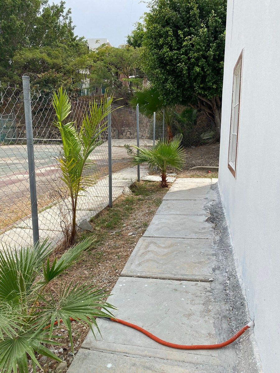 27 de 29: Paso hacia el jardin