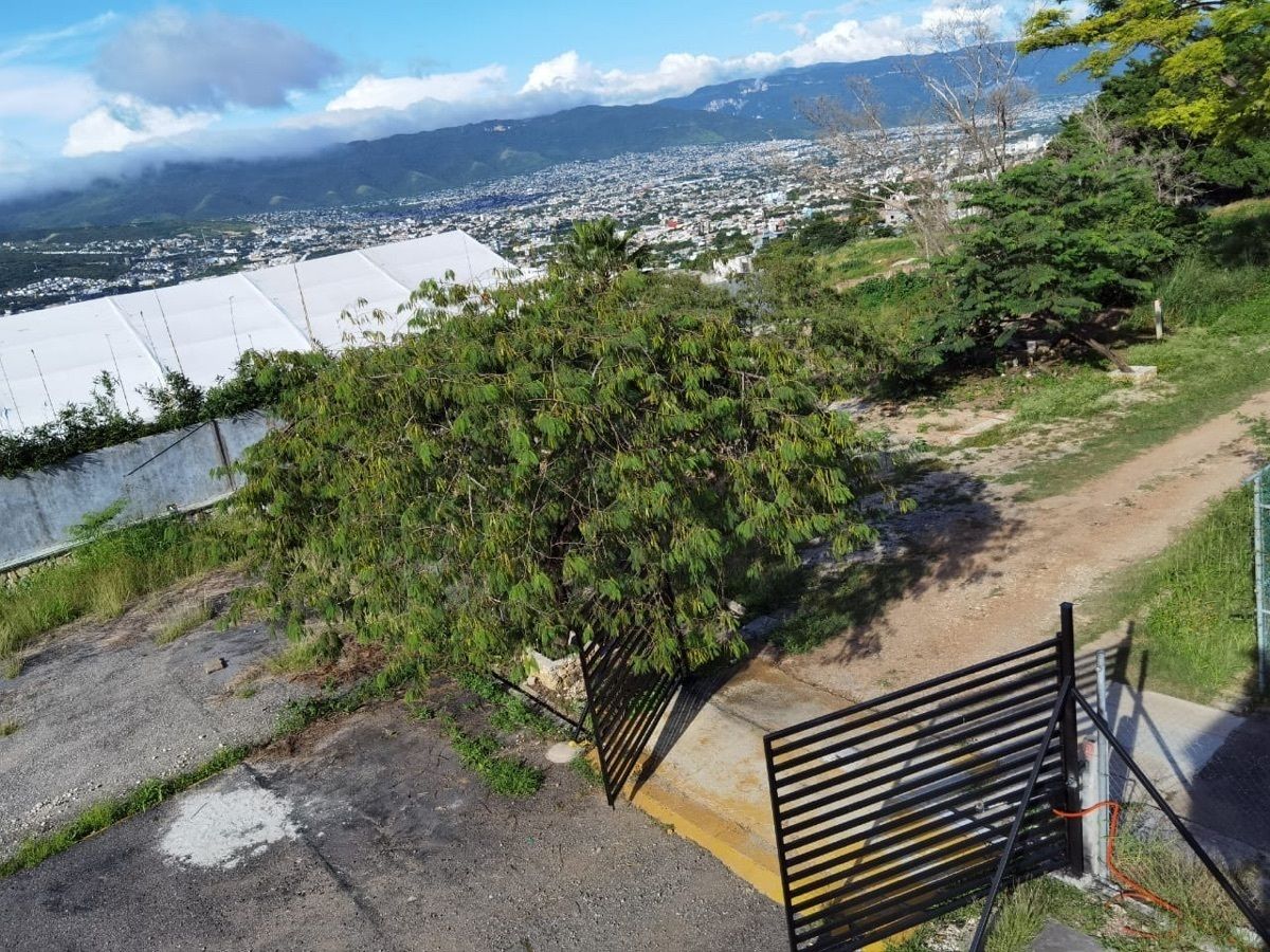 2 de 29: Acceso con vista hacia  portón eléctrico