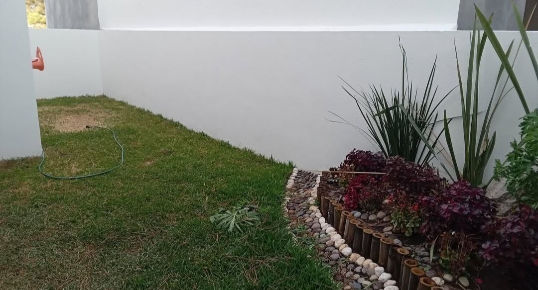 2 de 20
