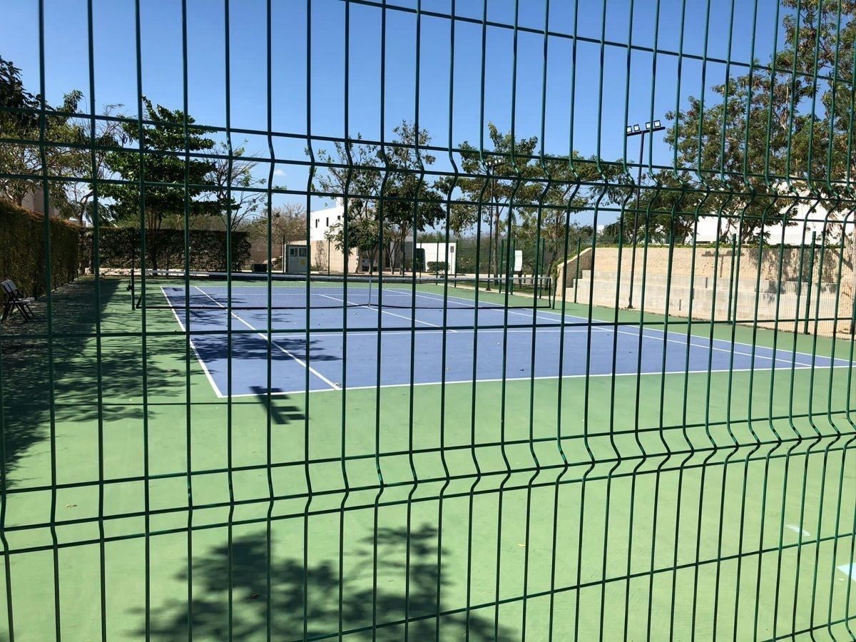11 of 11
