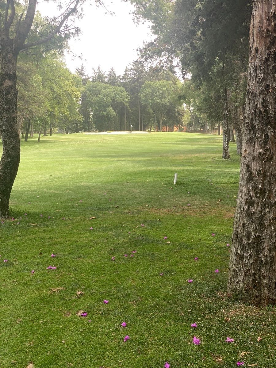 HAT442 Para el conocedor de lo auténticamente bueno - foto 1