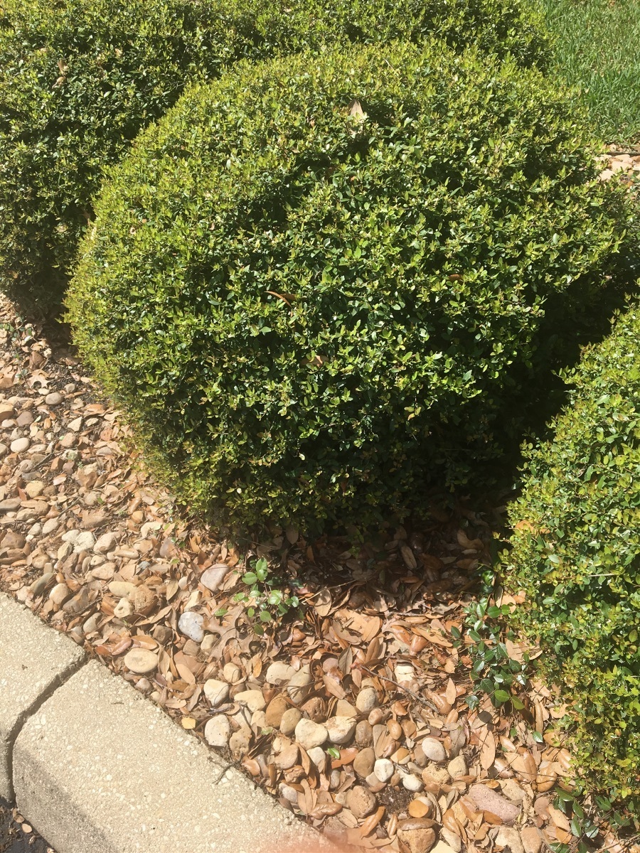 35 de 46