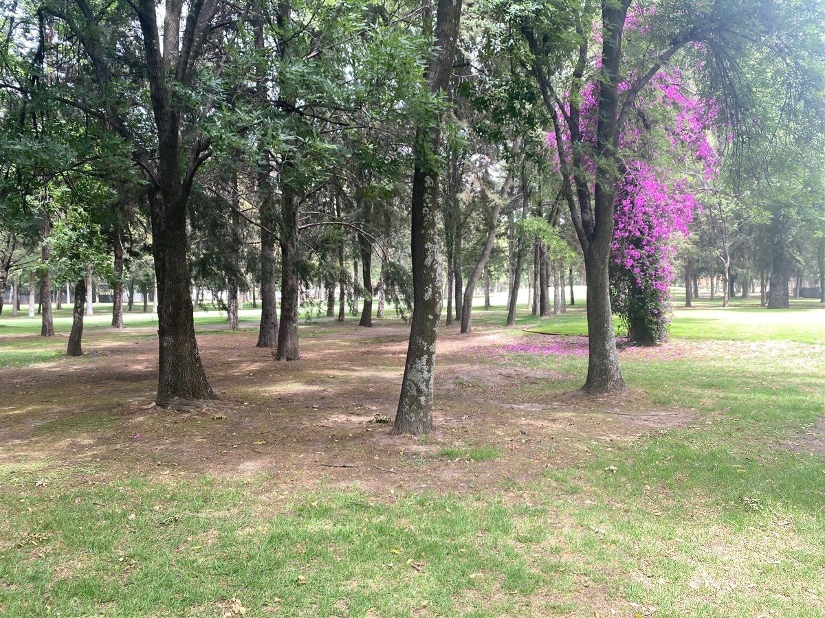 42 de 46