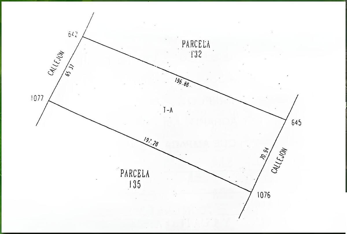 2 de 16