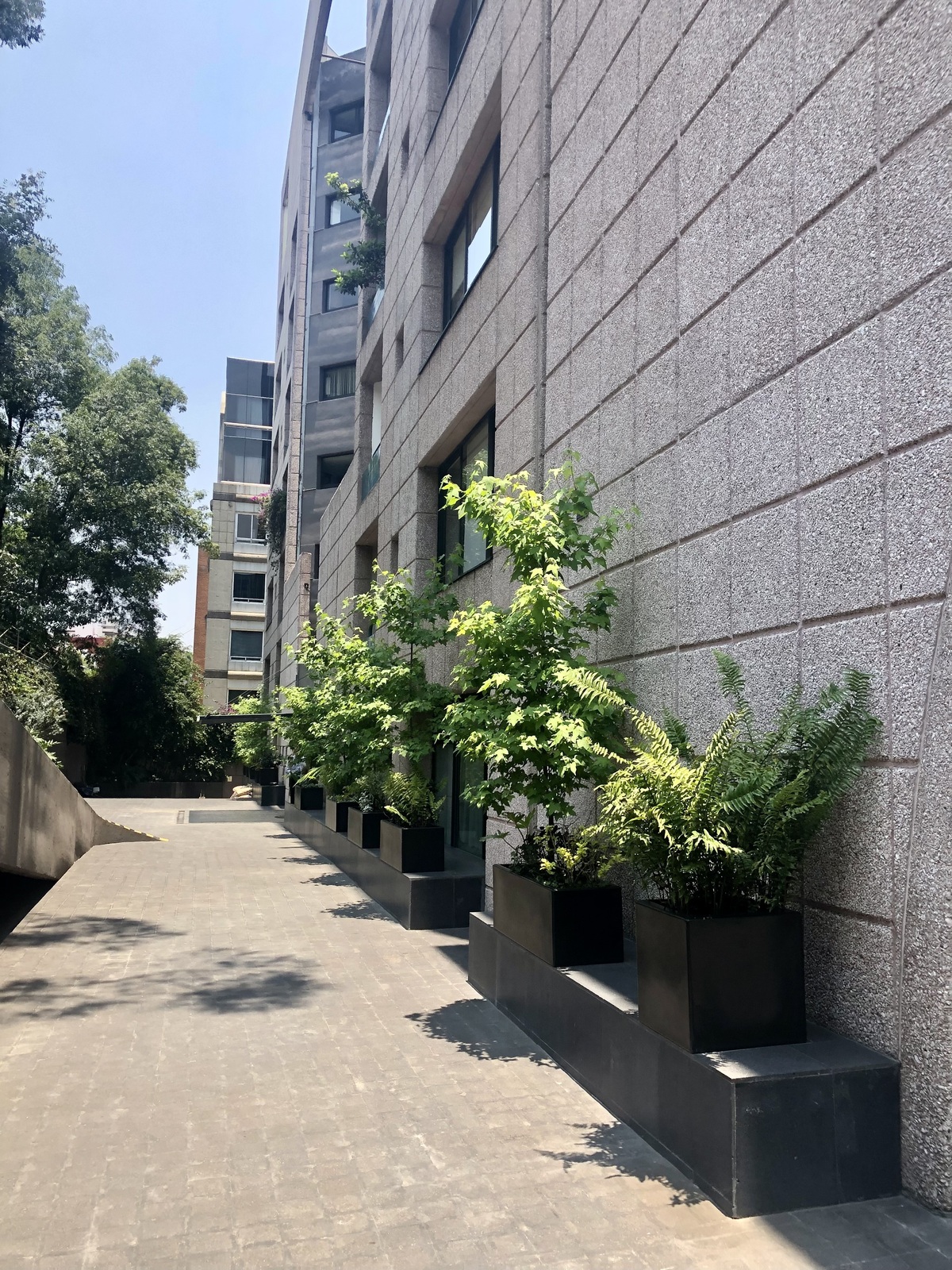 24 de 31: exterior edificio