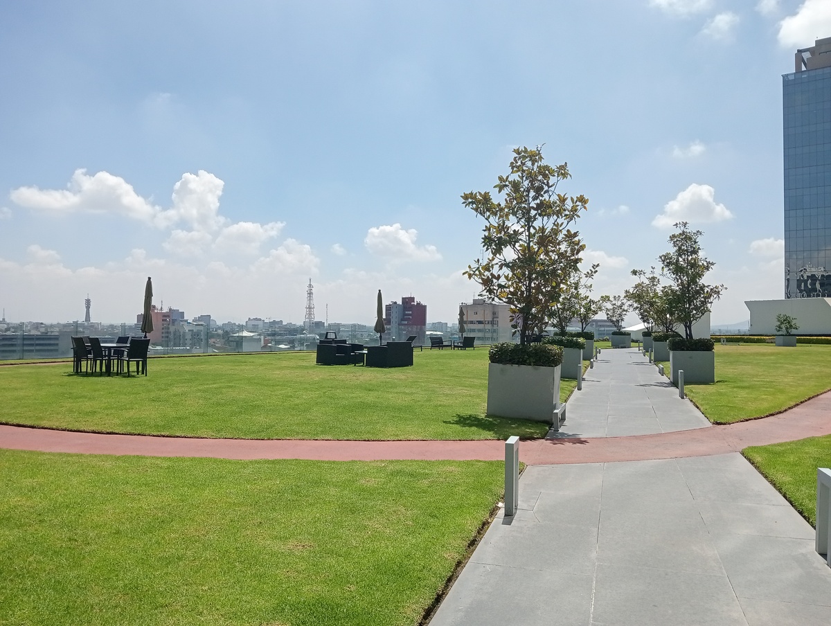 19 de 24