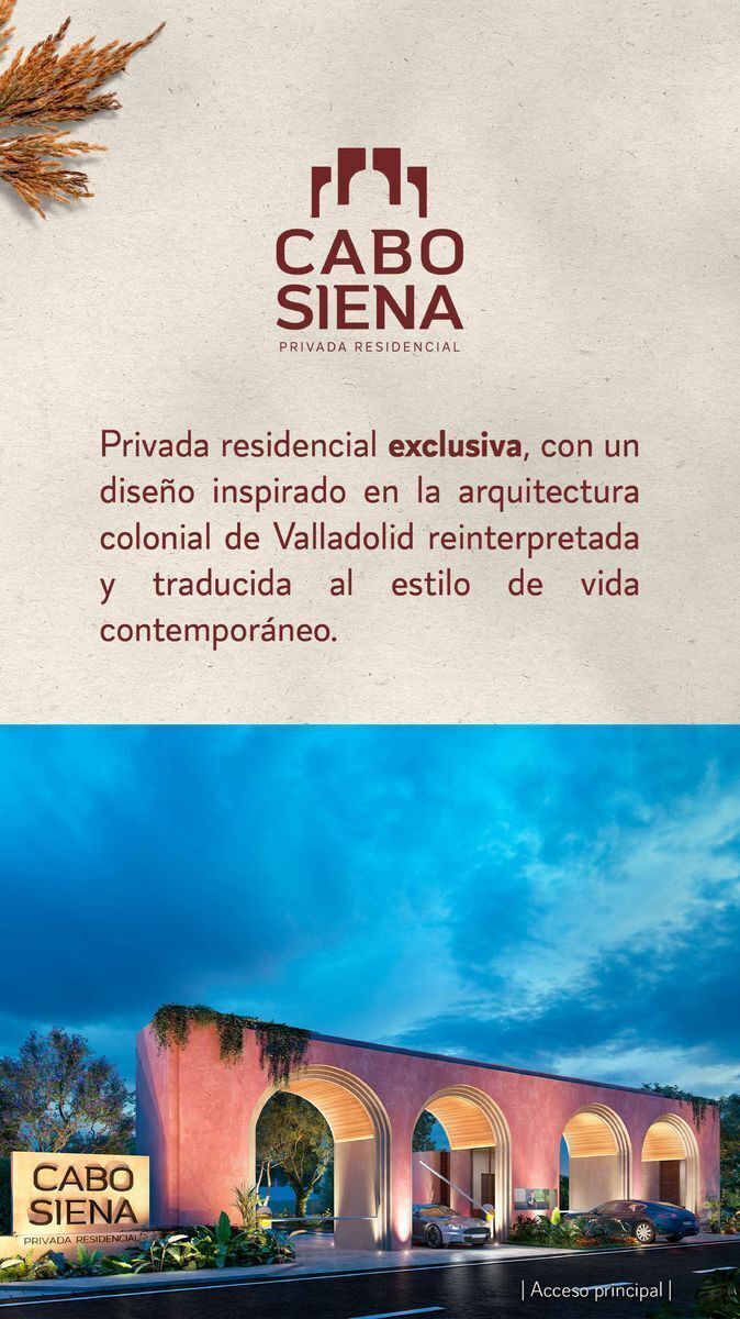 4 de 16