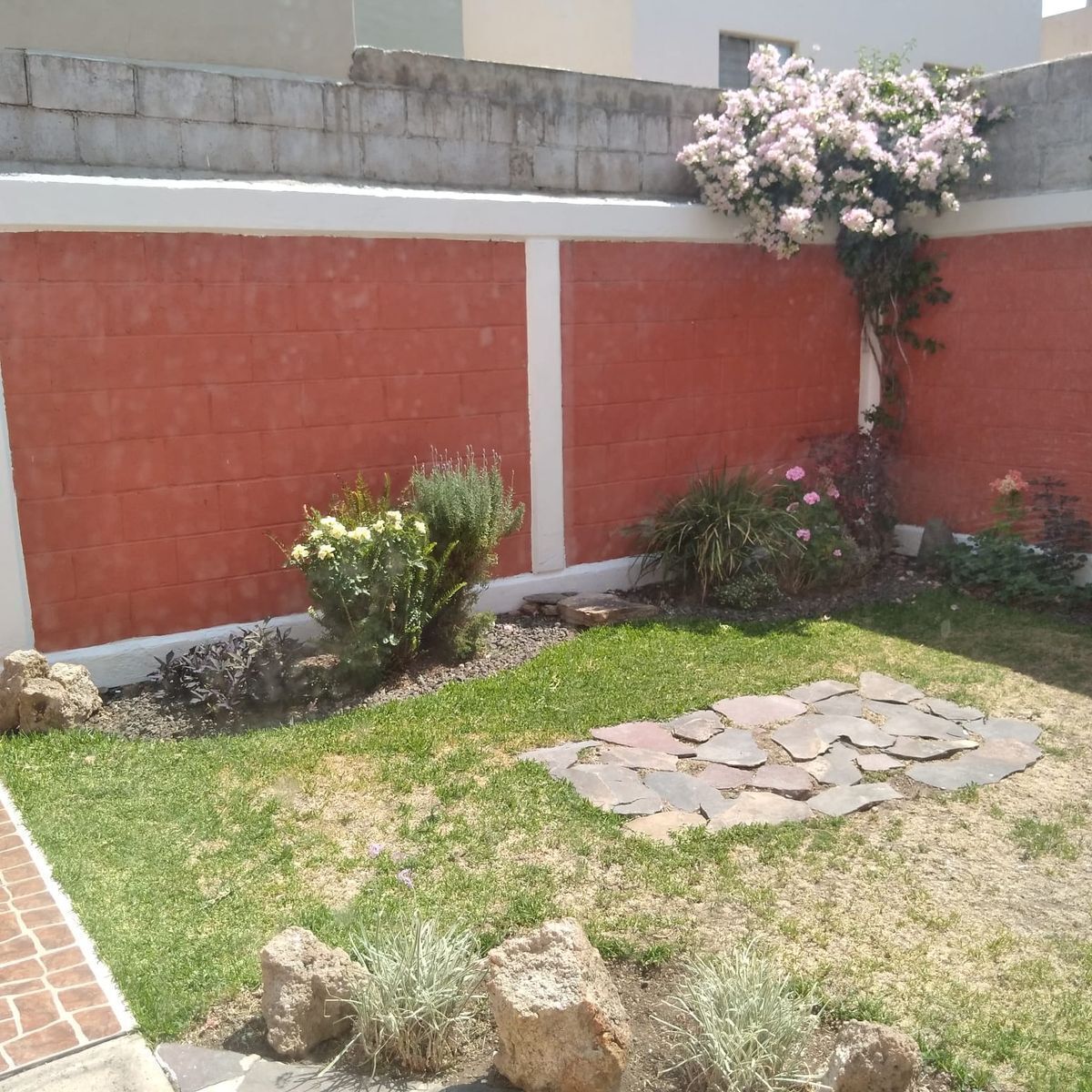 6 de 25