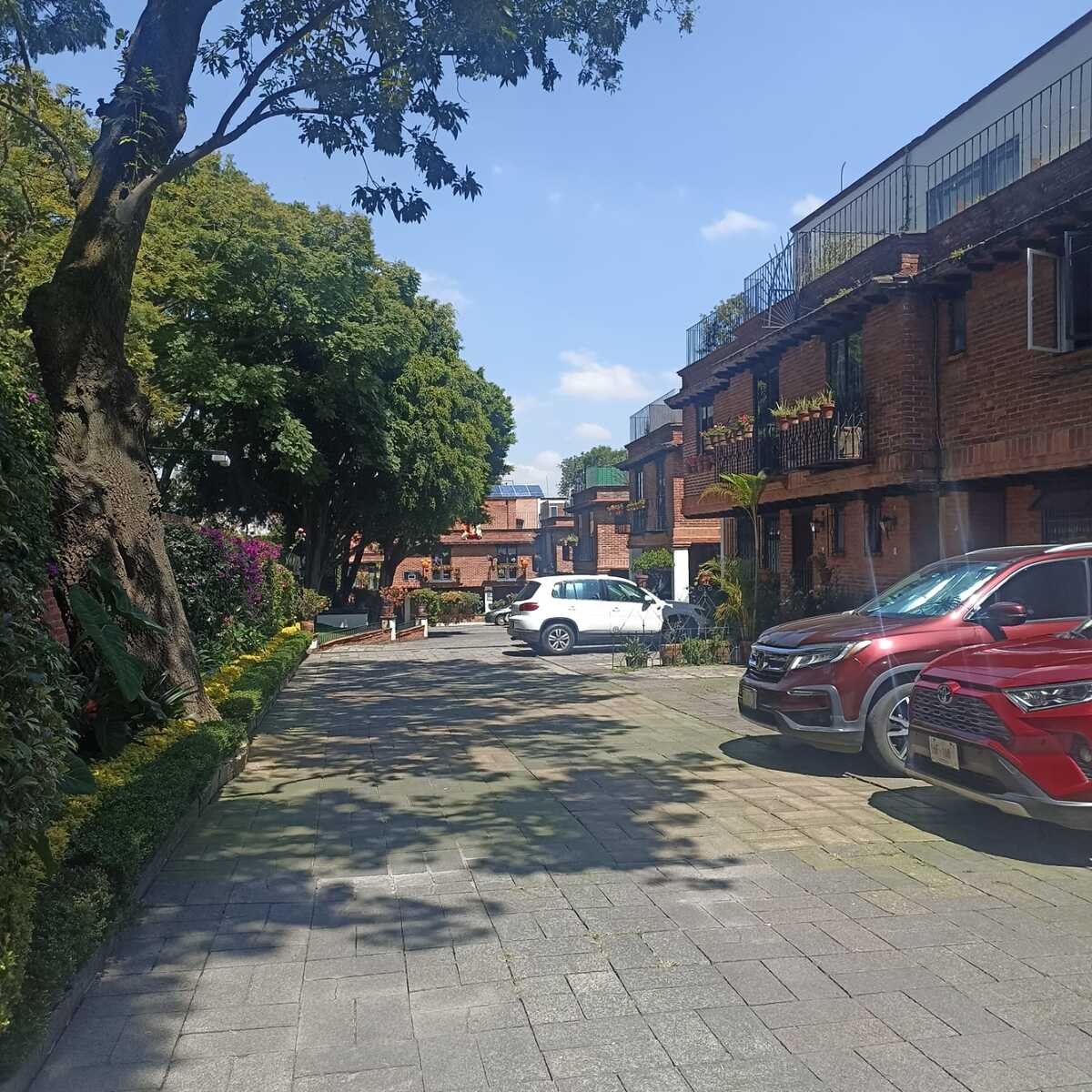 25 de 25