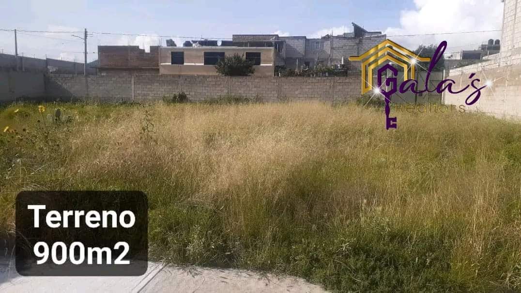 11 de 14