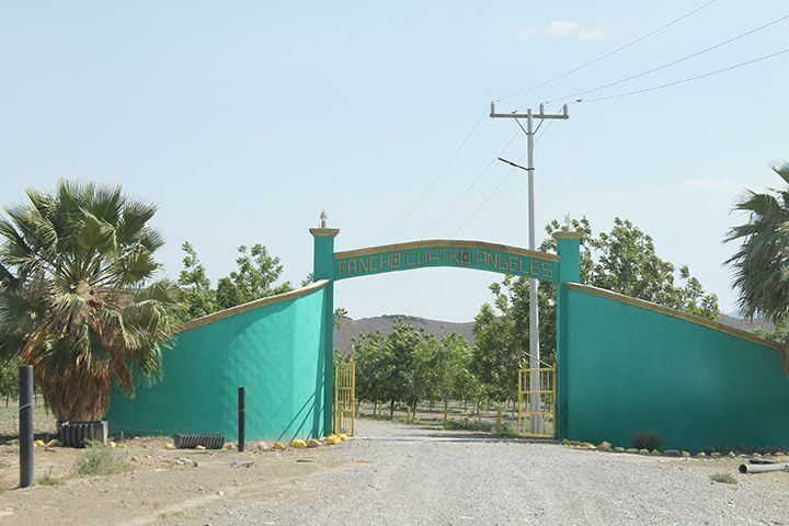 Rancho Nogalero los 4 ángeles en VENTA en Parras