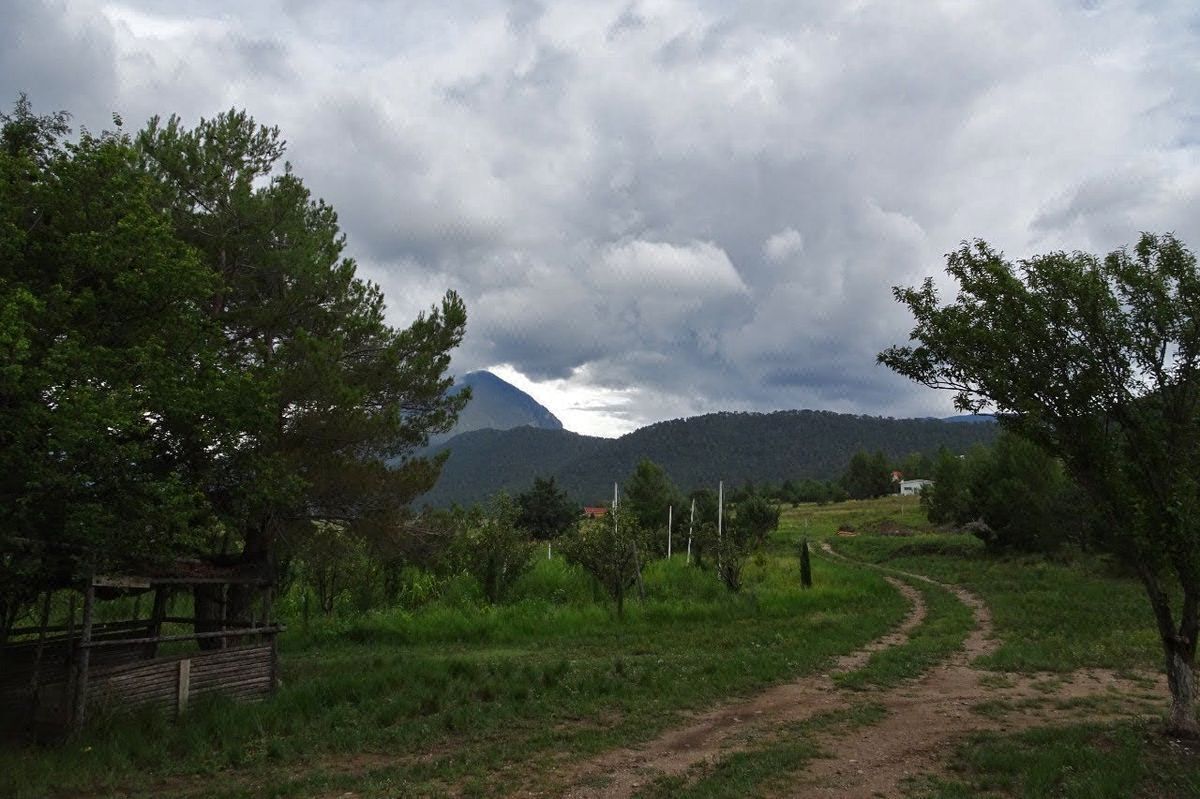 Terreno campestre en VENTA en Fracc. Los Andes