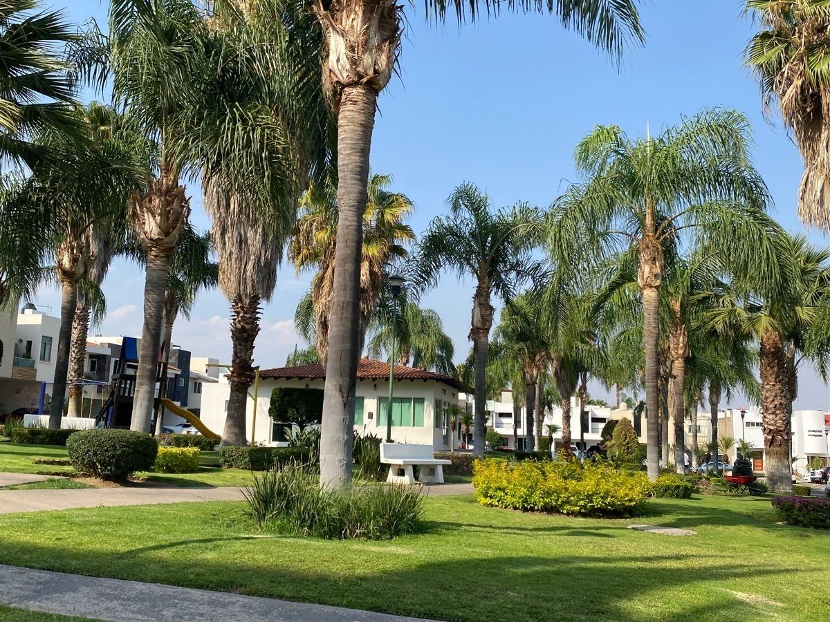 2 de 21