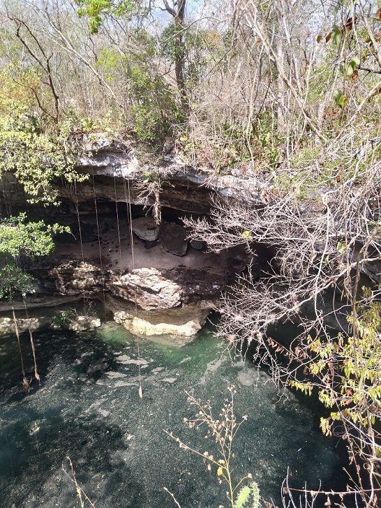 11 de 15: en una parte del cenote se observan piedras en una cueva