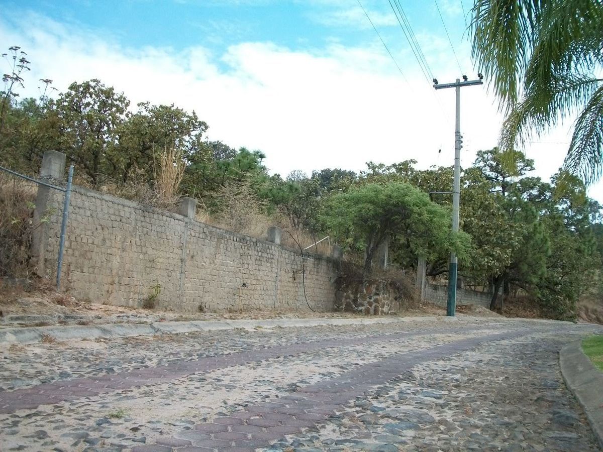 4 de 20