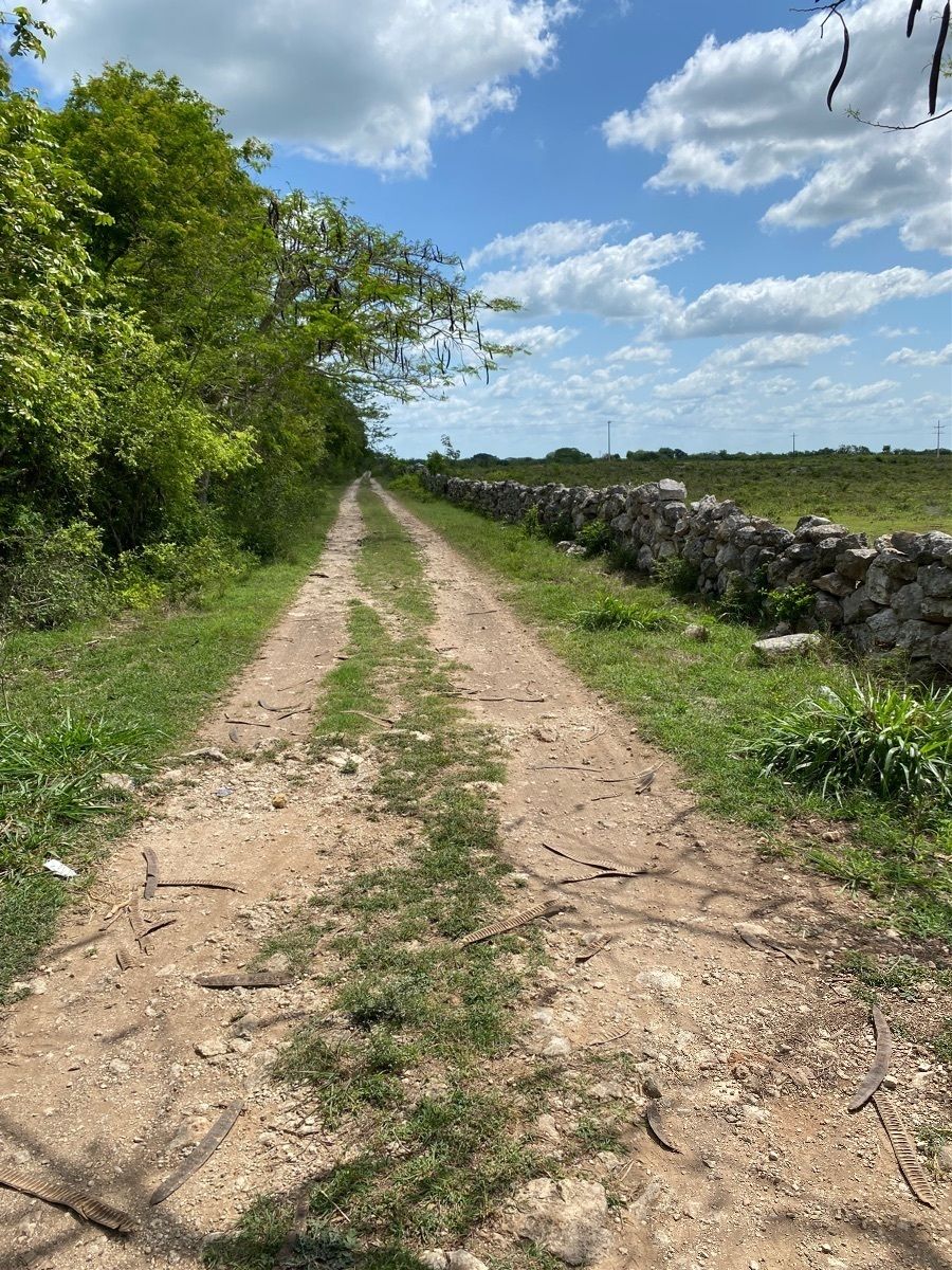 3 de 49