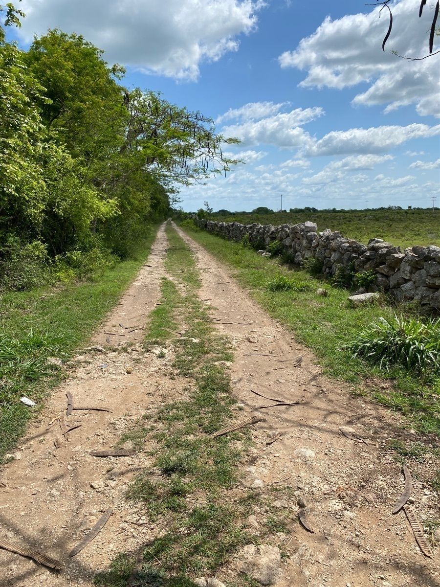3 de 49