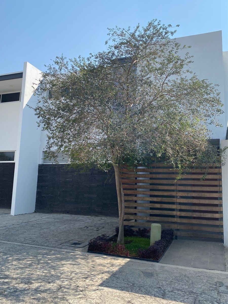 Galerias Sta Anita, Orbara Residencial !!!, foto 1 de 16