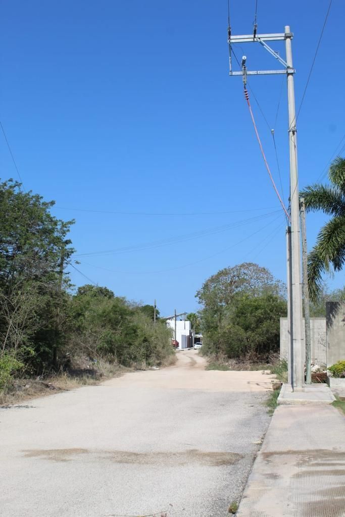 9 de 12