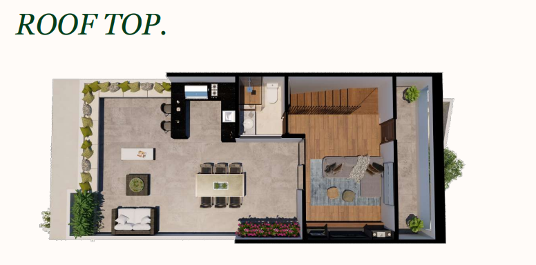 7 de 12: Rooftop