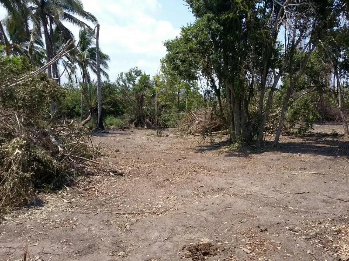 3 de 11