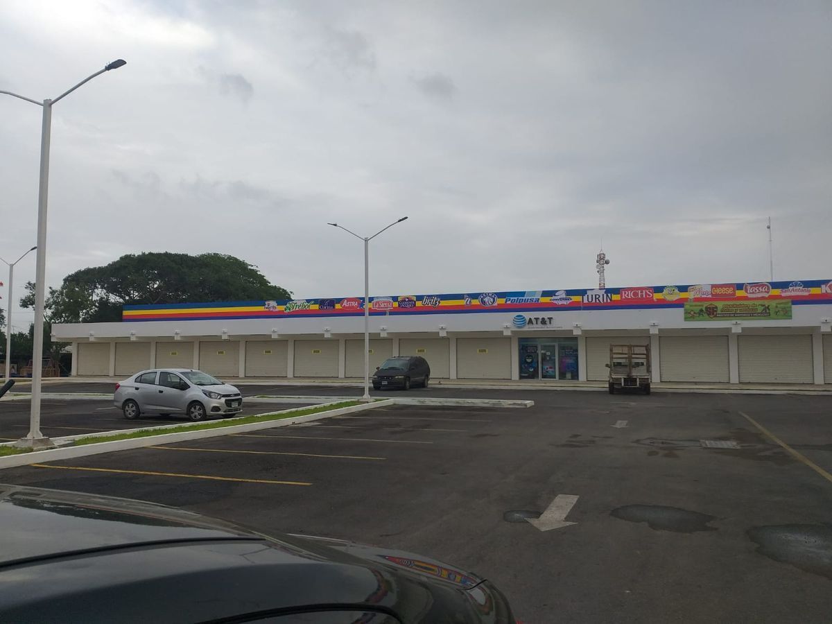 1 de 11