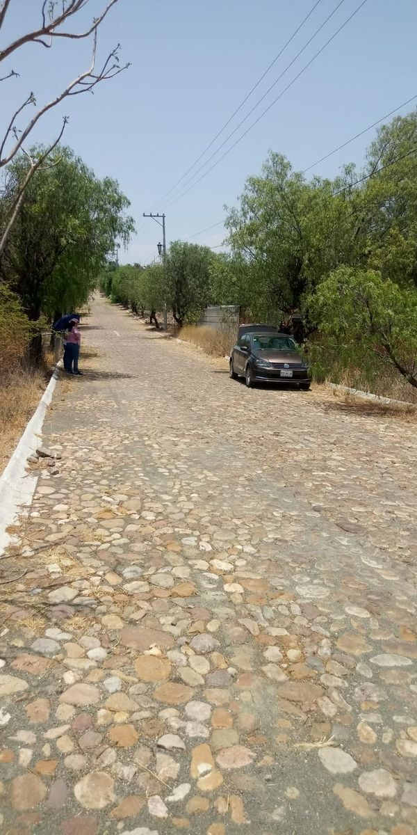 Calle de los terrenos