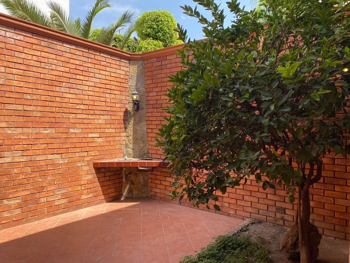 16 de 39: Patio de macetas