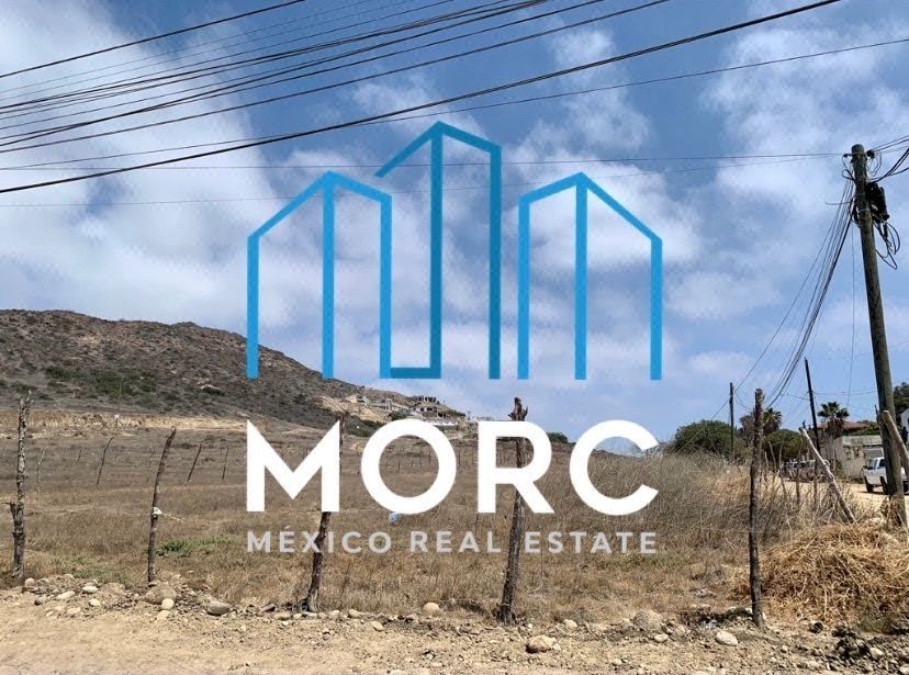 Venta de 3 Hectáreas en el Sauzal