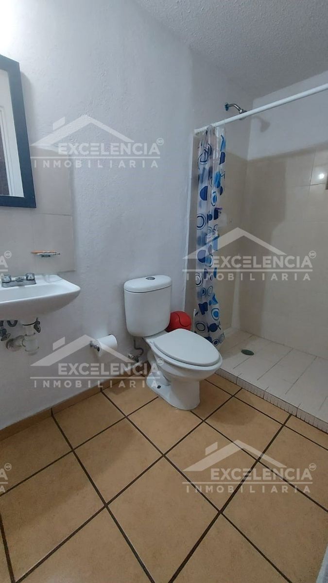 5 de 31