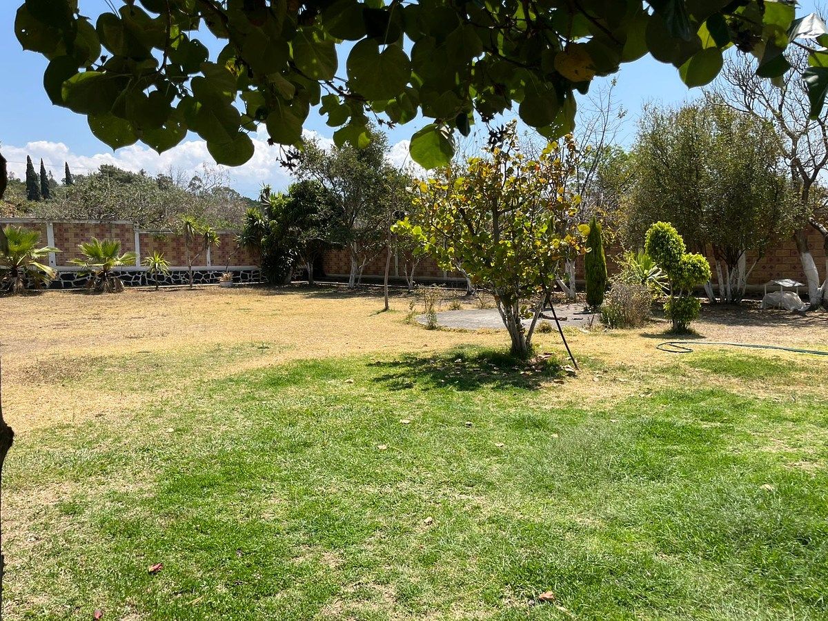 27 de 36